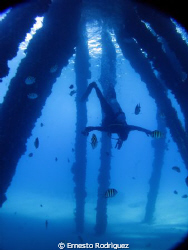 my buddy Harold playing with your neutral buoyancy by Ernesto Rodriguez 